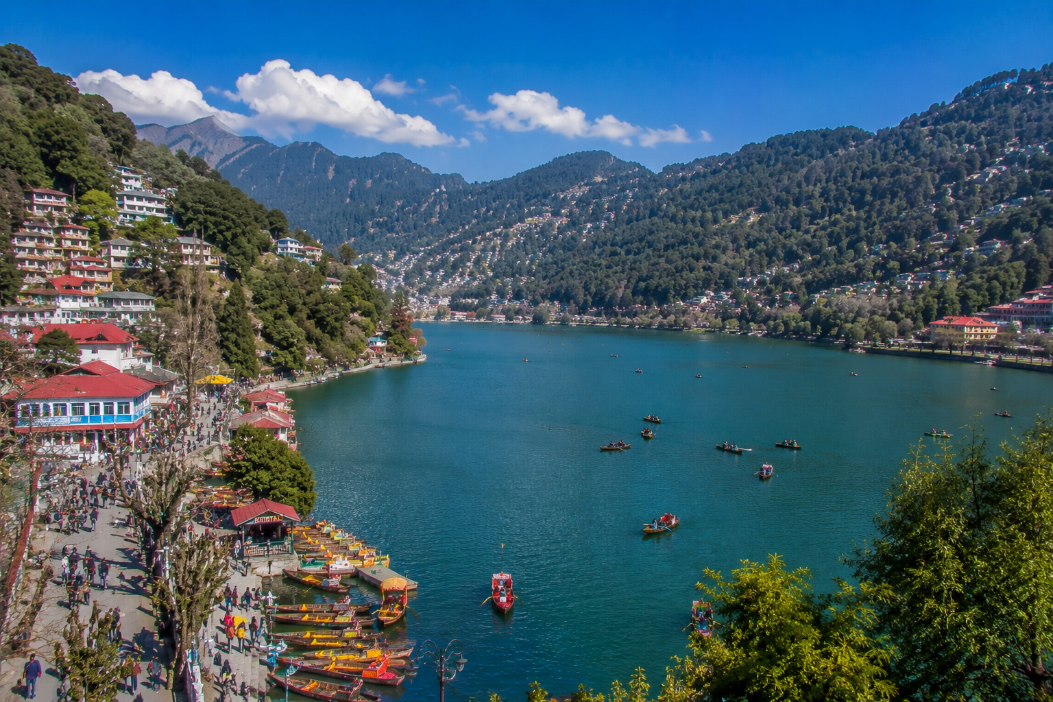 Nainital area listings